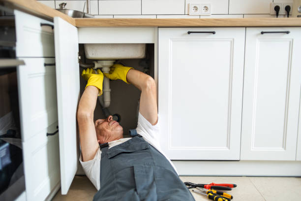 Best Plumbing Services Near Me  in Frisco City, AL